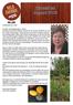 Nyhetsblad augusti 2018