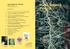 Usnea longissima. Svensk Botanisk Tidskrift 98(5): (2004) ISSN X, Uppsala 2004 INNEHÅLL. Volym 98 Häfte