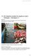 12 Ett fiskefritt område för skydd av torsk i Kattegatt Delrapport 3