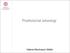 Postkolonial arkeologi. Helene Martinsson-Wallin