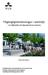 Tillgänglighetslösningar i utemiljö en fallstudie på Uppsala Resecentrum