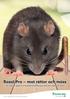 Rozol Pro mot råttor och möss