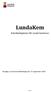 LundaKem. Kemikalieplanen för Lunds kommun. Antagen av kommunfullmäktige den 27 september (28)
