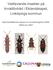 Vedlevande insekter på triviallövträd i Eklandskapet, Linköpings kommun. Sammanfattande rapport av inventeringarna 2004, 2006 och 2007