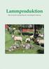 Lammproduktion Råd och tips för lammproducenter med ekologisk inriktning