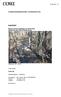 RAPPORT. Antal sidor: 14 STADSBYGGNADSKONTORET, GÖTEBORGS STAD. Naturinventering detaljplan för Halvorsäng, Göteborgs stad, Västra Götalands län.