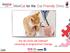 WellCat for life: Cat Friendly Clinic. Har din klinik rätt kattityd? Lansering av programmet i Sverige