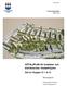 DETALJPLAN för bostäder och äldreboende, Hasselhöjden Del av Kopper 2:1 m fl. Stenungsund. Stenungsunds kommun Västra Götalands län