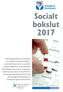 Socialt bokslut 2017