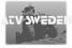 ATV Sweden. Produkter sida. sida. Allroad X5 10 Allroad 500 ED 11 UTV Tillbehör 13
