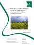 Efterverkan av olika förfrukter: inverkan på stråsädesgrödors avkastning och kvävetillgång - en litteraturöversikt