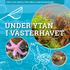 tips och fakta för unga havsforskare Under ytan i västerhavet
