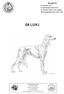 SALUKI. Grupp 10. FCI-nummer 269 Originalstandard FCI-Standard ; engelska SKKs Standardkommitté