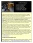 - Artificiell intelligens -