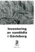 Inventering av sandödla I Gävleborg. Länsstyrelsen Gävleborg. Rapport 2003:8