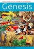 Genesis. varför inte skapelsediet? Stenåldersdiet, medelhavsdiet, fettdiet, kolhydratdiet. Arton myter och en sanning om evolutionen