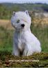 RASKOMPENDIUM WEST HIGHLAND WHITE TERRIER
