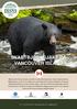 Svartbjörnsjakt på Vancouver Island