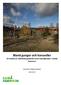 Bland gungor och karuseller En studie av valfrihetssystemet inom hemtjänsten i Umeå kommun. Jan Hjelte & Magnus Bergmark
