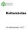 Kulturskolan. Kvalitetsanalys 16/17