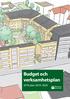 Budget och verksamhetsplan plan