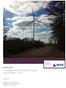 RAPPORT. Förstagångsbesiktning vindpark Skogaby Arise Windfarm 17 AB