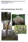Naturvärdesbedömning - Örnäs 2013
