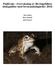 Paddvakt - övervakning av Revingefältets stinkpaddor med bevarandeåtgärder Jon Loman Rana Konsult