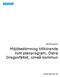 Umeå Kommun. Miljöbedömning tillhörande nytt planprogram, Östra Dragonfältet, Umeå kommun. Umeå