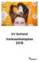 SV Gotland Verksamhetsplan 2018