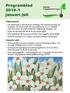 Programblad januari juli