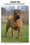 SHAR PEI - en rynkig kines med en stor personlighet -