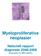 Myeloproliferativa neoplasier