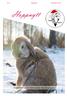 Nr 4 Årgång 23 December Hoppnytt. Klubbtidning för Värmlands Kaninhoppare
