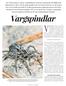 17 Vargspindlar. Vargspindlar har även kallats