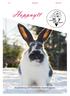 Nr 1 Årgång 25 Mars Hoppnytt. Klubbtidning för Värmlands Kaninhoppare