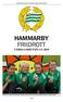 VERKSAMHETSPLAN 2010