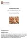 LIKABEHANDLING. Plan mot diskriminering och kränkande behandling