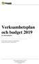 Verksamhetsplan och budget 2019