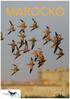 Birdsafarisweden - Res /   / / +46-(0)