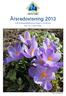 Årsredovisning Å 2013