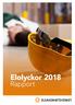 Elolyckor Rapport