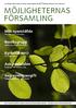 möjligheternas församling