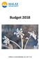 Budget Godkänd av kommunfullmäktige