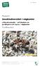 Insektsdiversitet i vägkanter