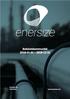 ENERSIZE OYJ EXECUTIVE SUMMARY