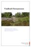 Vindkraft Hornamossen