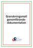 Granskningsmall genomförandedokumentation