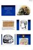 Neuropsykologins historia och teori