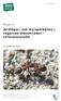 Jordlöpar- och myrsamhällen i vägarnas sidoområden - Litteraturstudie